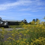 金沢・七尾・高岡・富山城 098