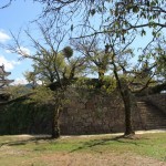 高知・岡豊・宇和島城 163