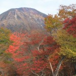 日光・紅葉・明智平 083
