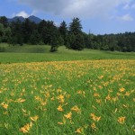 尾瀬・岩村城・苗木城 279