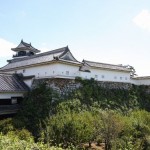 高知・岡豊・宇和島城 296