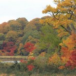 八幡平・弘前城 133