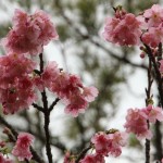 沖縄　世界遺産9か所 383