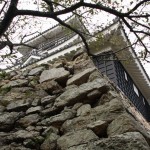 名古屋・浜松城 206