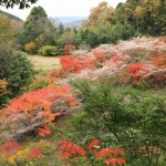 馬籠・妻籠・香嵐渓・小原四季桜・足助城 332