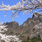 妙義山さくらの里 031