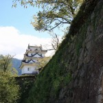 高知・岡豊・宇和島城 196