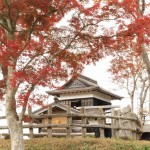 馬籠・妻籠・香嵐渓・小原四季桜・足助城 206