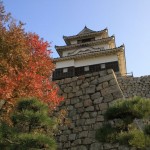 丸亀・津山・鳥取・竹田・後楽園 039