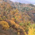 日光・紅葉・明智平 041