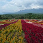 高知城・宇和島城・高知歴史資料館 015