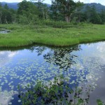 尾瀬・岩村城・苗木城 067