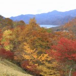 日光・紅葉・明智平 097