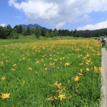 尾瀬・岩村城・苗木城 301