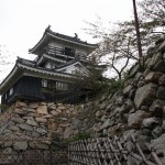 名古屋・浜松城 198