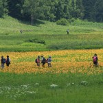 尾瀬・岩村城・苗木城 303