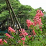 金沢・七尾・高岡・富山城 031