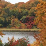 八幡平・弘前城 157